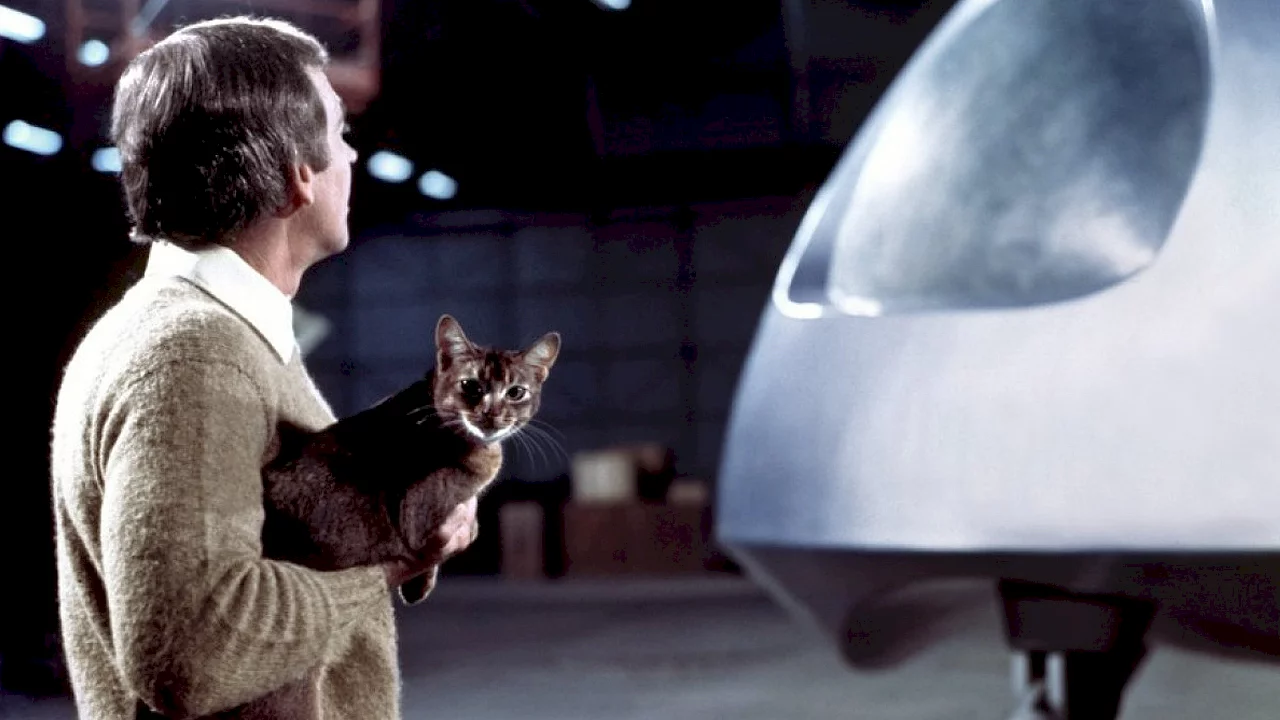 Photo 3 du film : Le chat qui vient de l'espace
