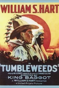 Affiche du film : Tumbleweeds