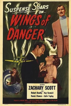 Affiche du film = Wings of danger