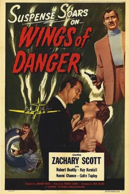 Affiche du film Wings of danger