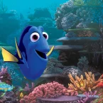 Photo du film : Le Monde de Dory 