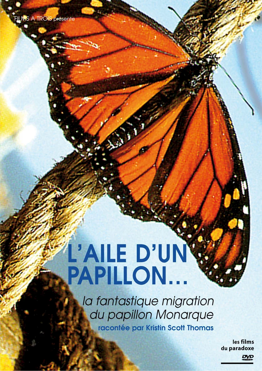 Photo 1 du film : Papillon