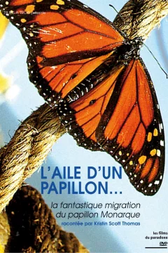 Affiche du film = Papillon