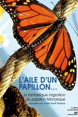 Affiche du film Papillon