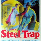 Photo du film : The steel trap