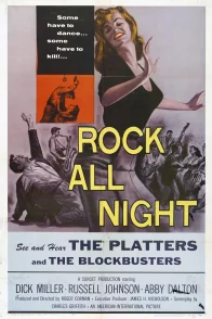 Affiche du film : Rock all night
