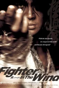 Affiche du film : Fighter in the wind