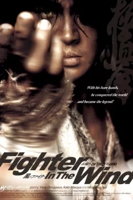 Affiche du film Fighter in the wind