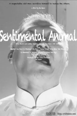 Affiche du film Sentimental Animal