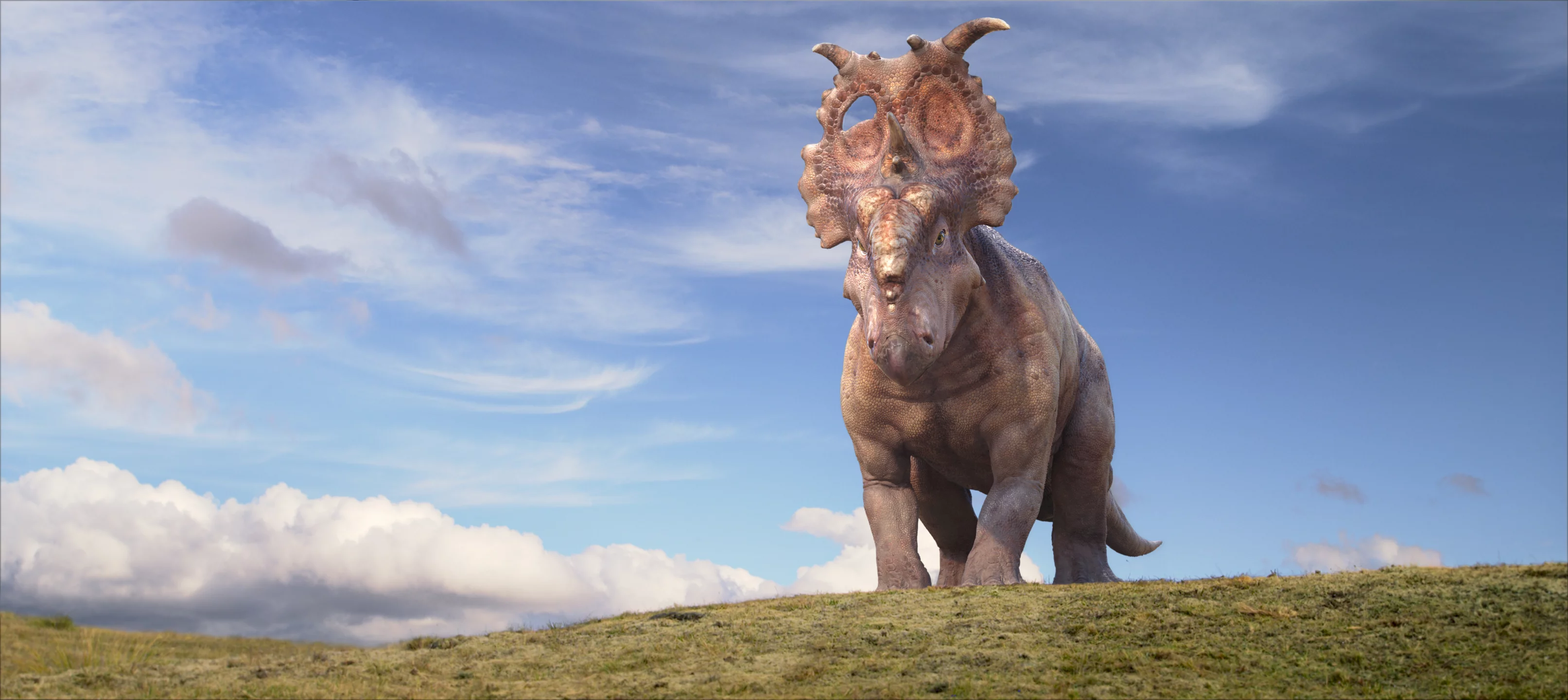 Photo 8 du film : Sur la terre des Dinosaures 