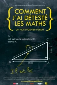 Affiche du film : Comment j'ai detesté les Maths