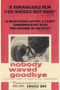 Affiche du film : Nobody waved good bye