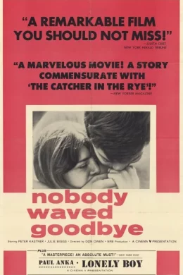 Affiche du film Nobody waved good bye
