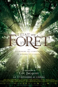 Affiche du film : Il était une forêt 