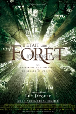Affiche du film Il était une forêt 