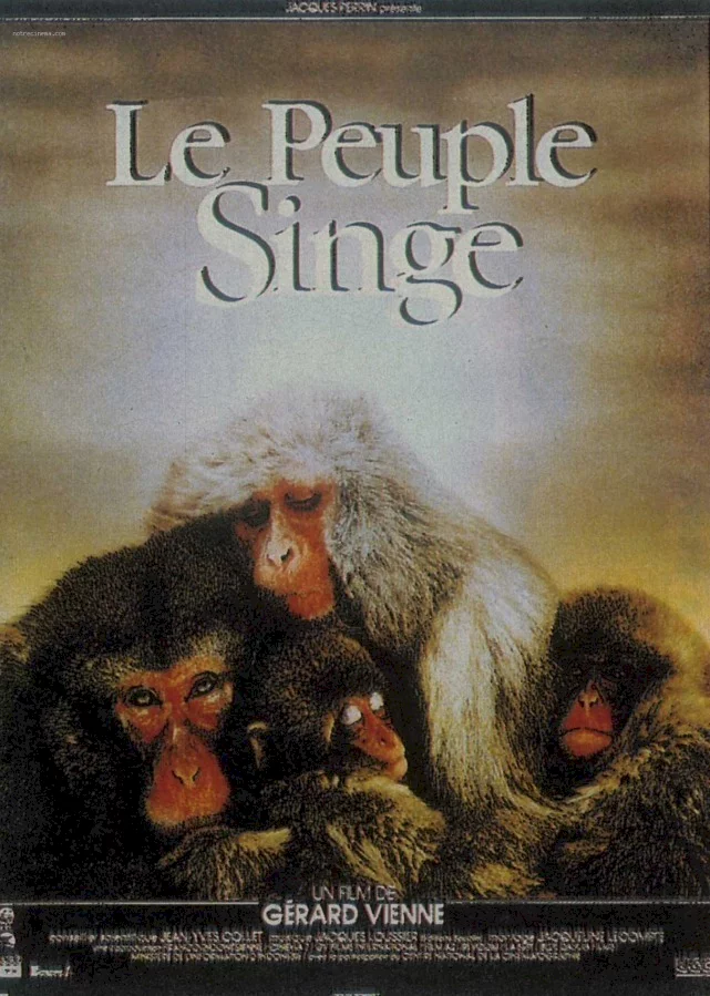 Photo 1 du film : Le peuple singe