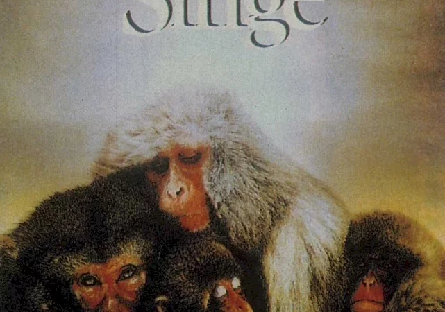 Photo du film : Le peuple singe