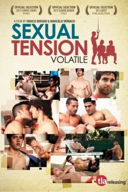 Affiche du film Sexual Tension : Volatile