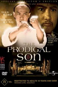 Affiche du film : The Prodigal Son