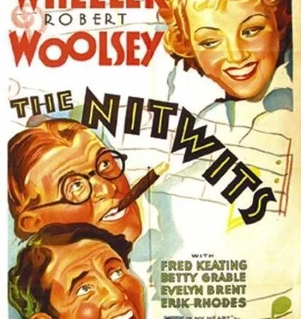 Photo du film : The nitwits