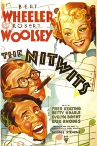 Affiche du film : The nitwits