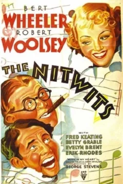 Affiche du film = The nitwits