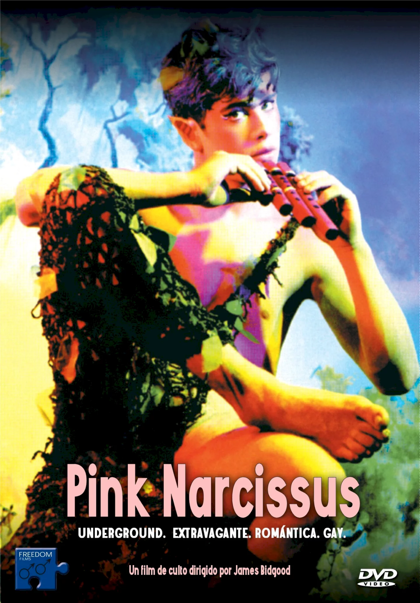 Photo 1 du film : Pink Narcissus