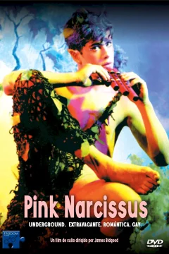Affiche du film = Pink Narcissus