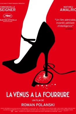 Affiche du film La Venus à la fourrure 