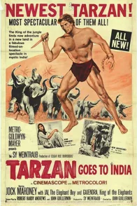 Affiche du film : Tarzan aux indes