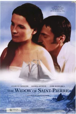Affiche du film La veuve