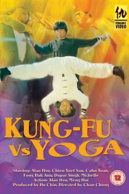 Affiche du film Kung fu contre yoga