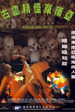 Affiche du film = Shocking asia