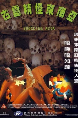 Affiche du film Shocking asia