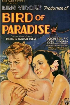 Affiche du film = L'oiseau de paradis