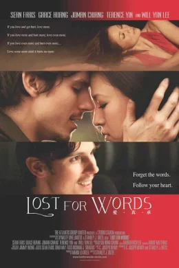 Affiche du film Lost for words