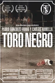 Affiche du film : Toro