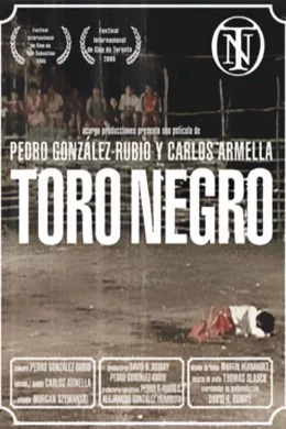 Affiche du film Toro