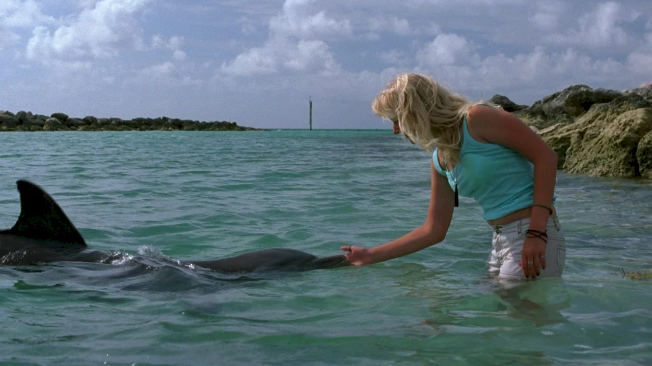 Photo 2 du film : Les dauphins