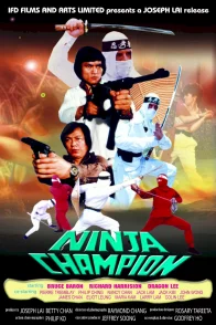 Affiche du film : Ninja champion