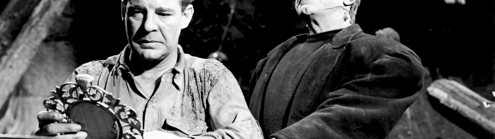 Photo du film : Frankenstein rencontre le loup garou