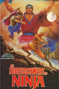 Affiche du film : Commando ninja