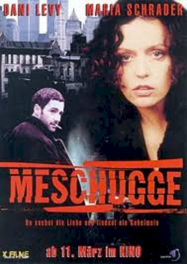 Photo du film : Meschugge