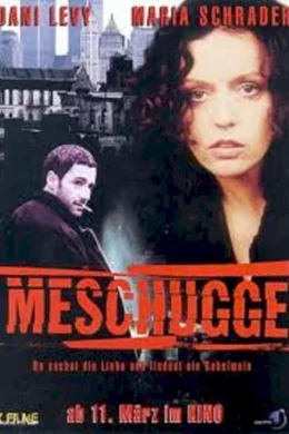 Affiche du film Meschugge