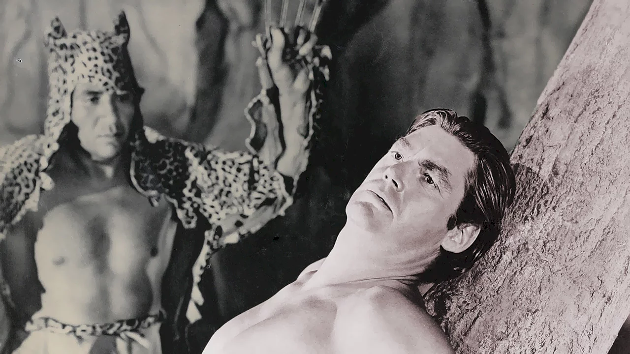 Photo 11 du film : Tarzan et la femme leopard