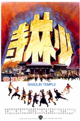 Affiche du film Le temple de shaolin