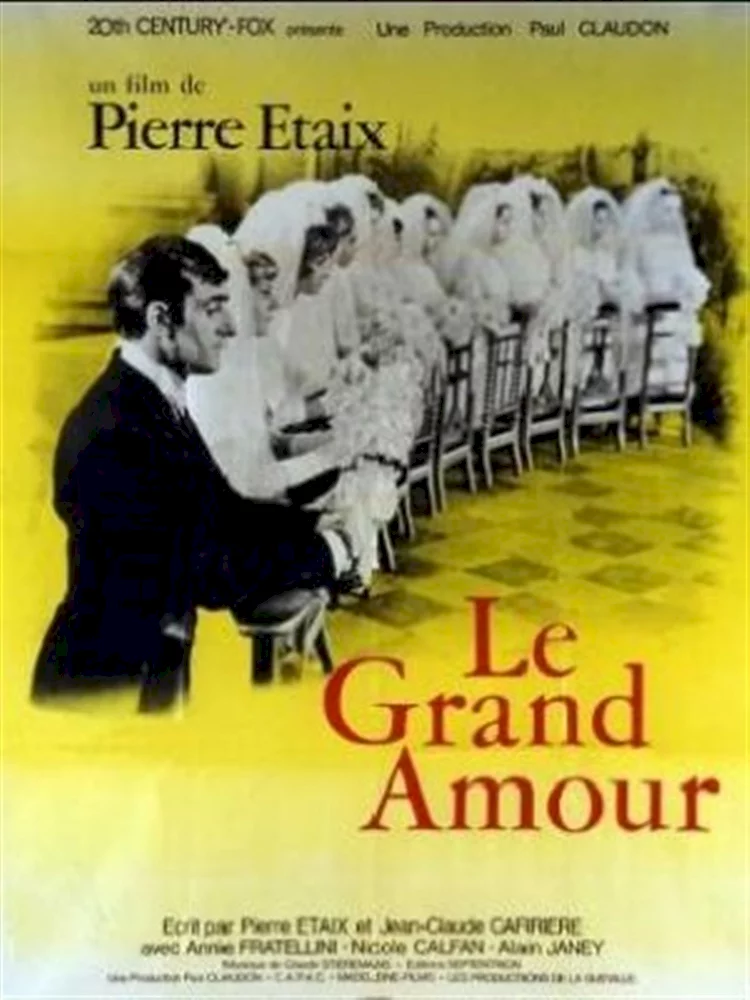 Photo du film : Le grand amour