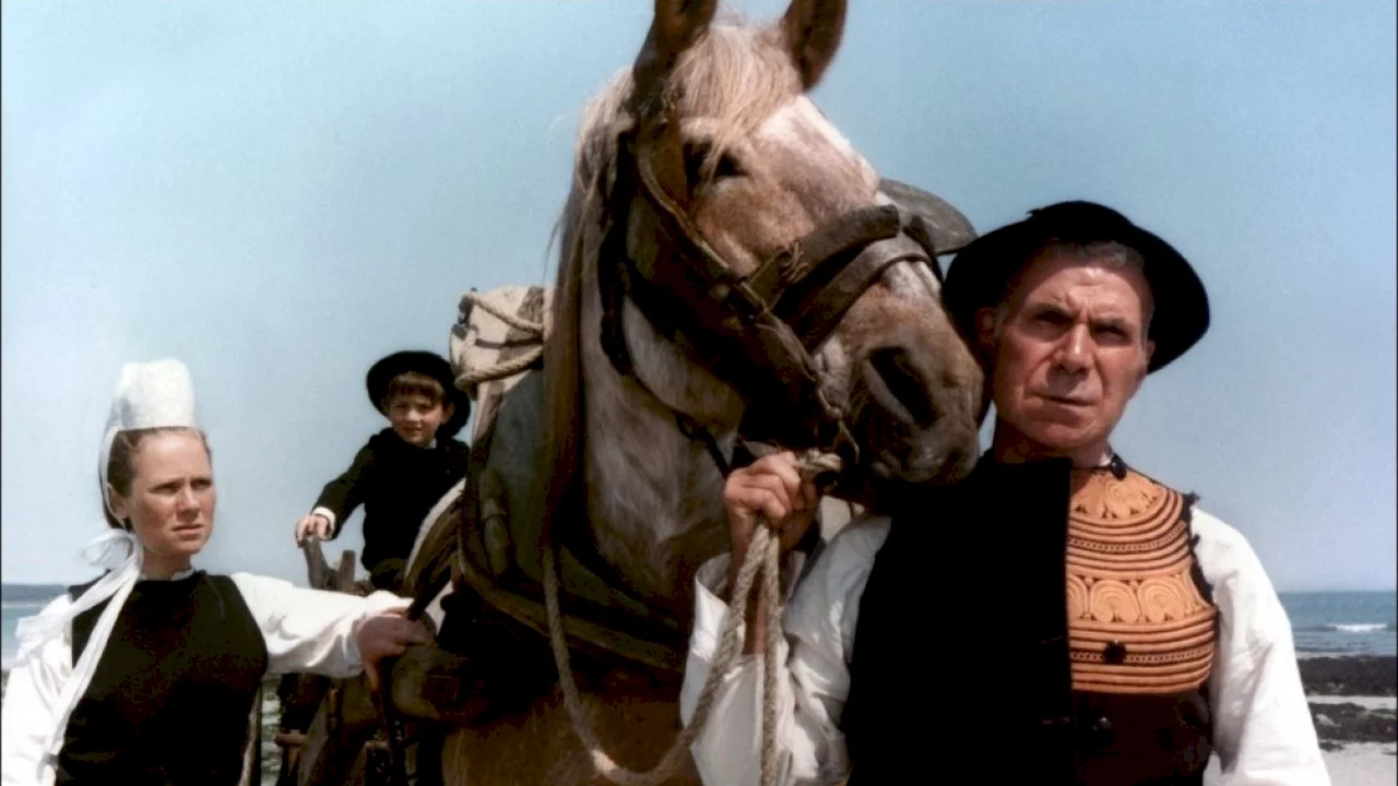 Photo 3 du film : Le cheval d'orgueil