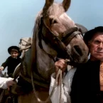 Photo du film : Le cheval d'orgueil