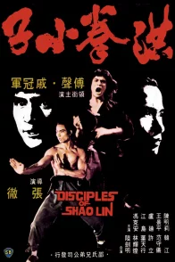 Affiche du film : Les disciples de shaolin